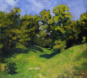 The Edge of the Grove